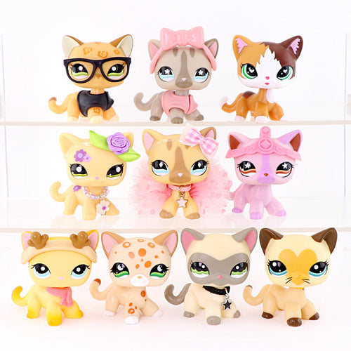 10 pcs mini shorthair cats