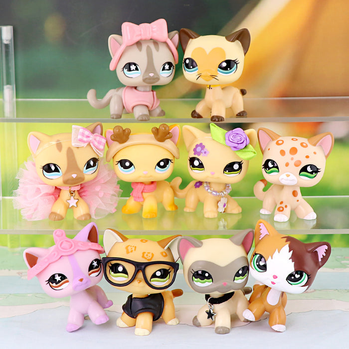 10 pcs mini shorthair cats
