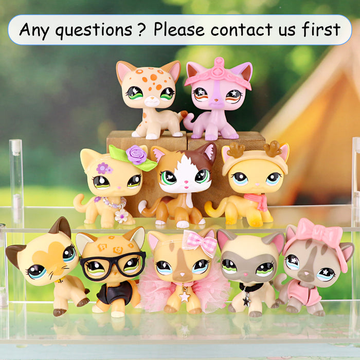 10 pcs mini shorthair cats