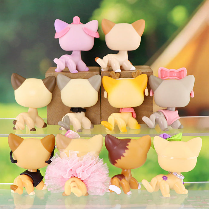 10 pcs mini shorthair cats