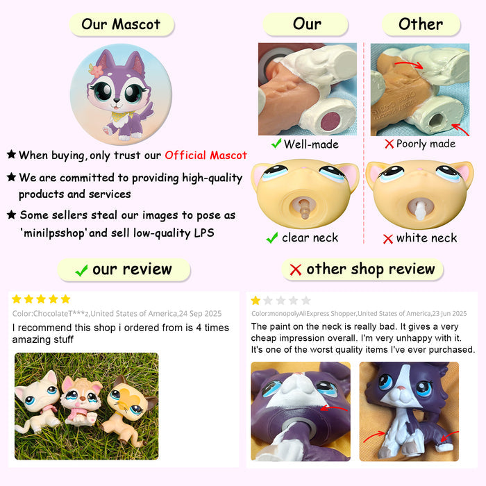 10 pcs mini shorthair cats