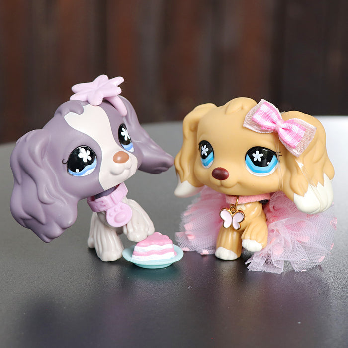 2 Pcs mini cocker spaniel Pack