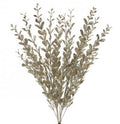 23" GLITTERED BOXWOOD BUSH