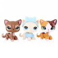3 pcs mini shorthair cats