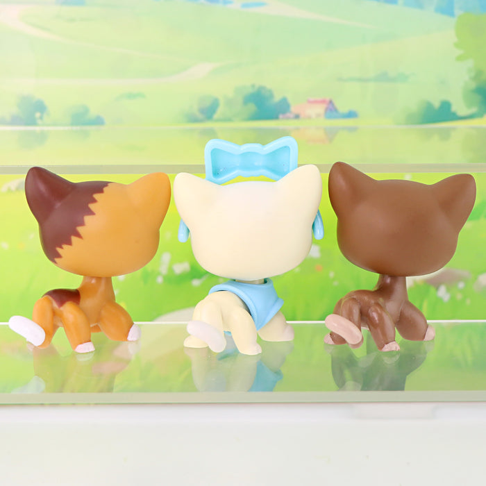 3 pcs mini shorthair cats