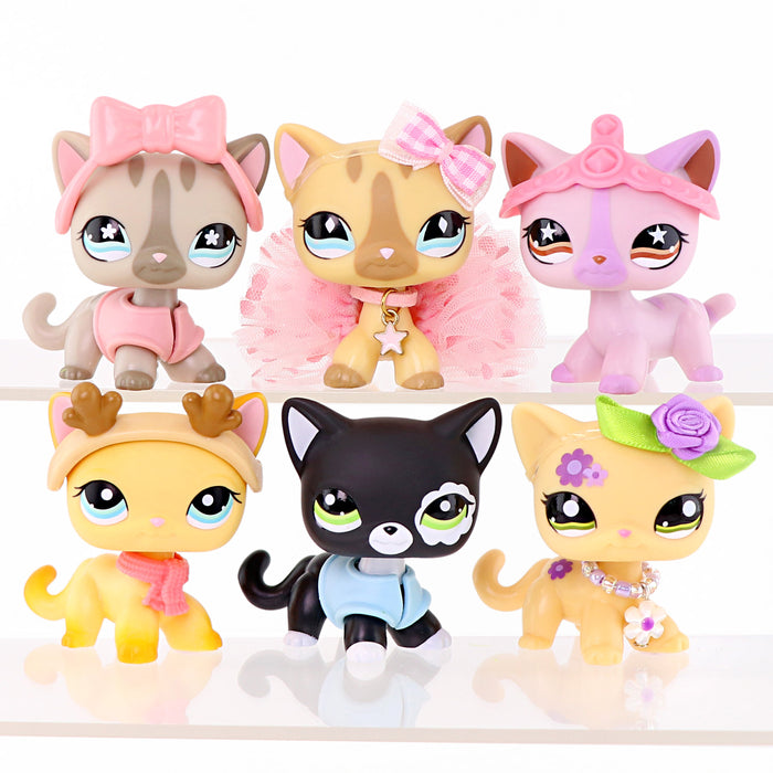 6 pcs mini shorthair cats