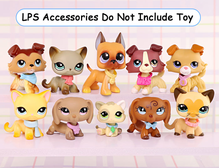 Custom Accessories