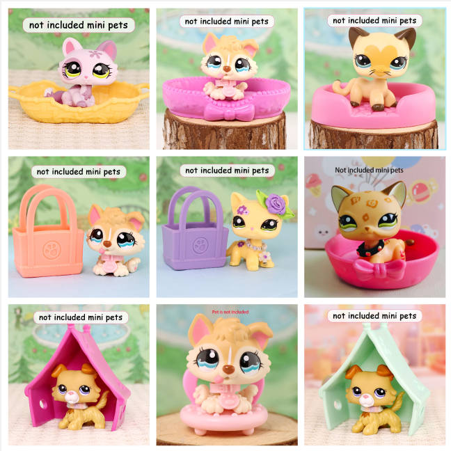 Custom Accessories
