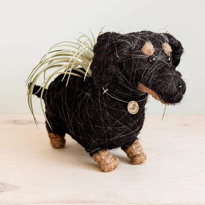 Dachshund Coconut Fiber Dog Planter, Handmade in the Philippines