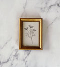 LES FLEURS II - FRAMED ART PRINT