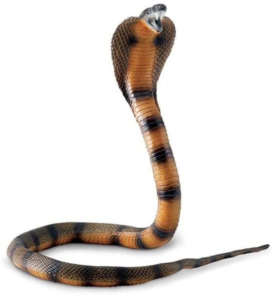 Safari Ltd. Cobra