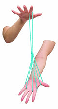 Toysmith Flex YER Fingers - Hi There! Delightfully Witty Gift, Tactile Meditation, Fidget Toy, for People of All Ages